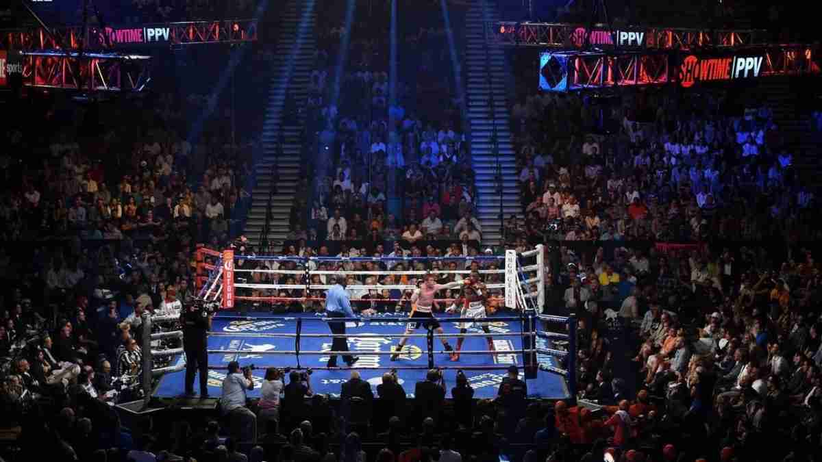 Boxing Live viewing preview